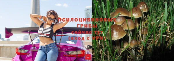 spice Верхний Тагил