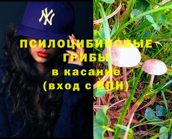 spice Верхний Тагил