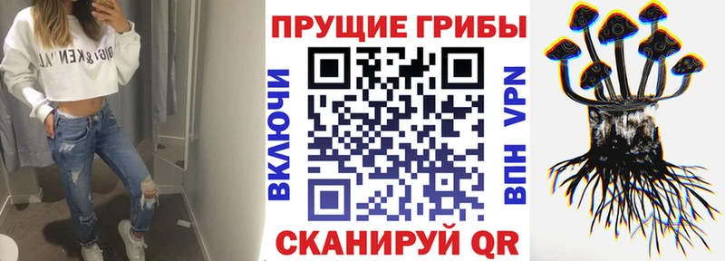 Псилоцибиновые грибы мухоморы Купить где Купино